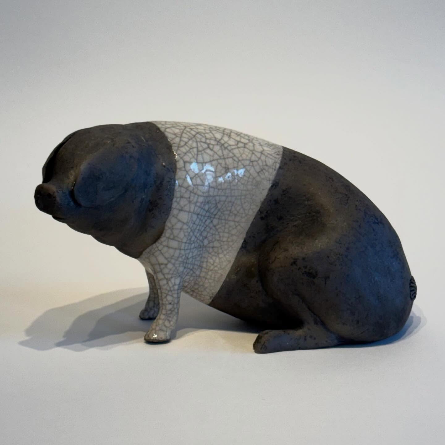 Saddleback pig by Paul Jenkins